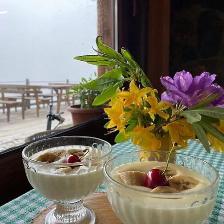 Serinyer Dag Evi Ayder Yaylasi
