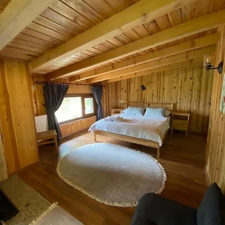 Serinyer Dag Evi