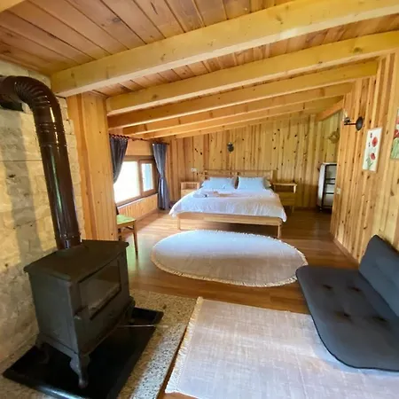 Serinyer Dag Evi