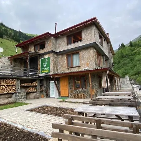 Serinyer Dag Evi Ayder Yaylasi