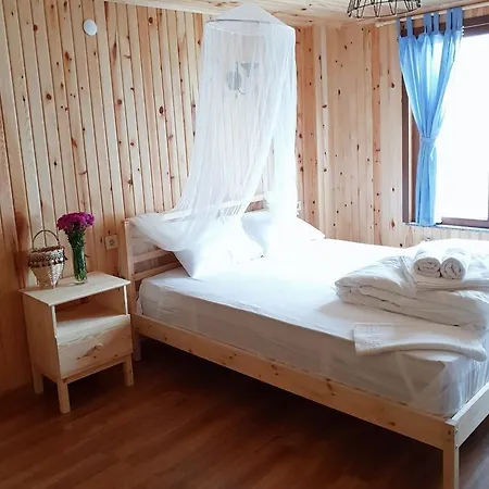 Serinyer Dag Evi 2* Ayder Yaylasi